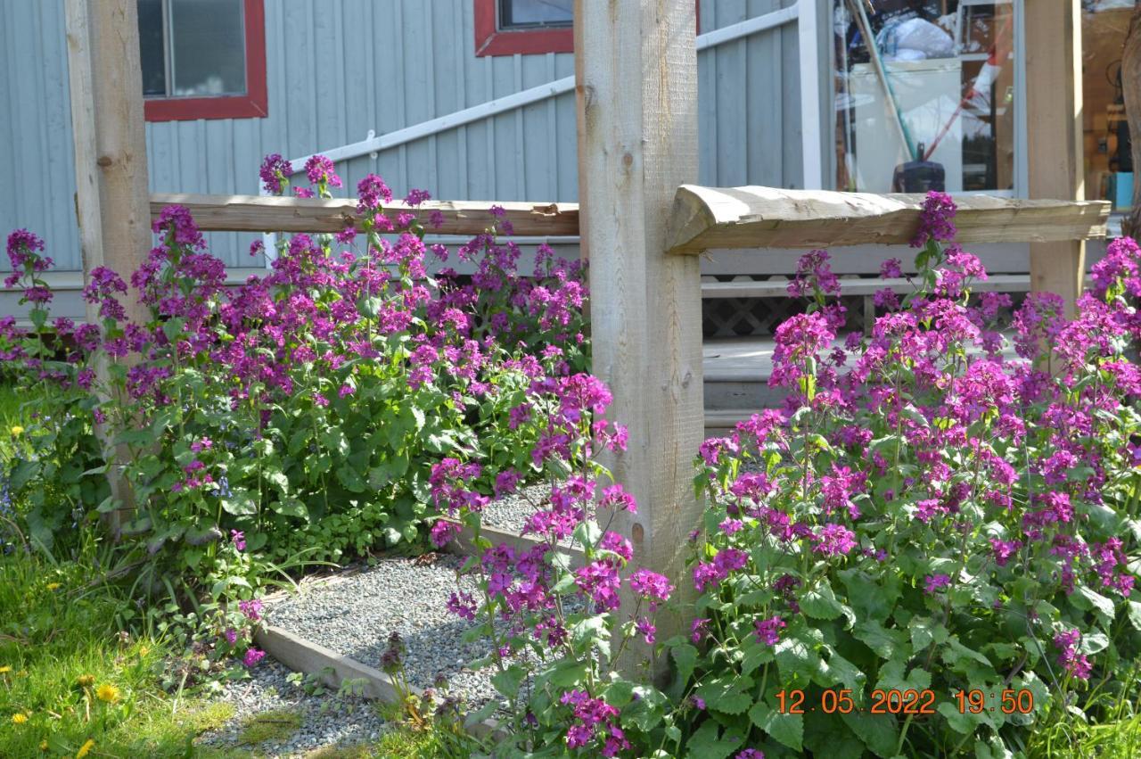 Estuary House Reflexology B&B Courtenay Eksteriør billede
