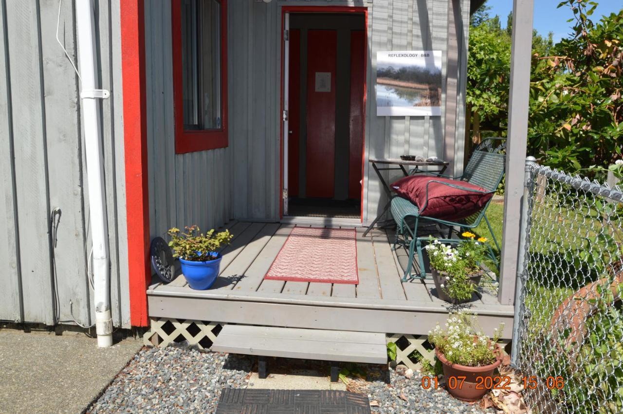 Estuary House Reflexology B&B Courtenay Eksteriør billede