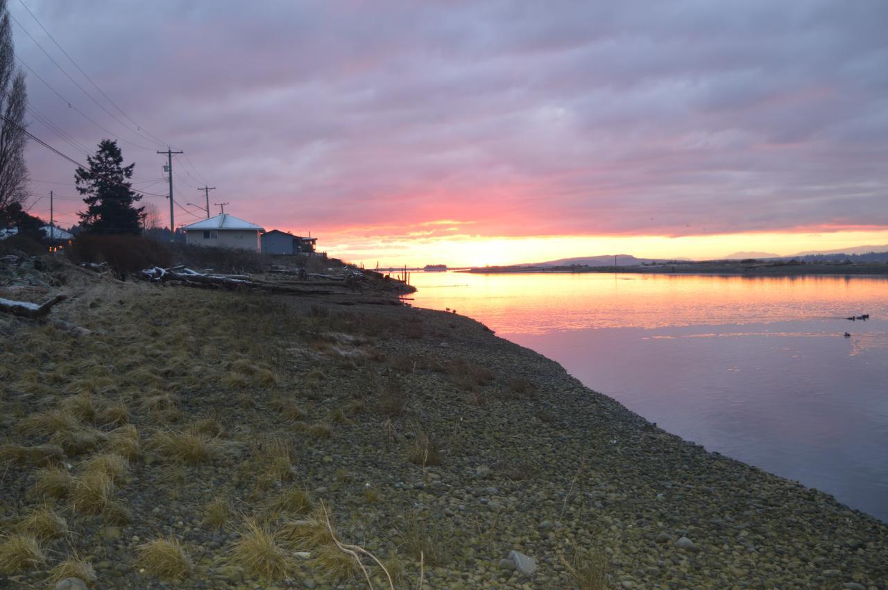 Estuary House Reflexology B&B Courtenay Eksteriør billede